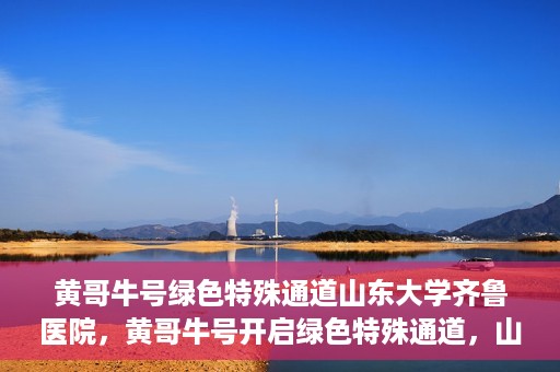 黄哥牛号绿色特殊通道山东大学齐鲁医院，黄哥牛号开启绿色特殊通道，山东大学齐鲁医院焕新篇章