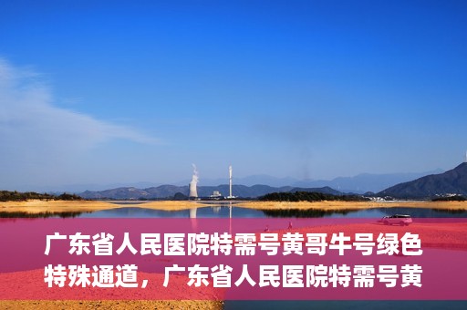 广东省人民医院特需号黄哥牛号绿色特殊通道，广东省人民医院特需号黄哥牛号，绿色特殊通道就医体验