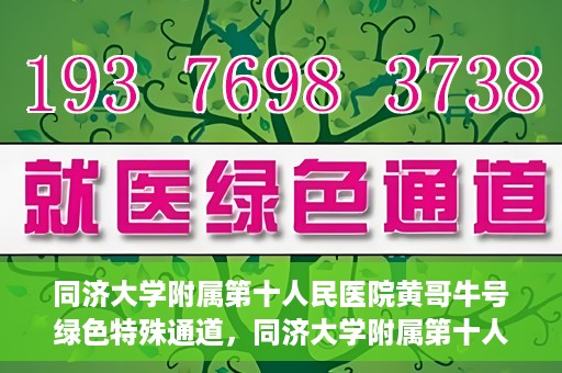 同济大学附属第十人民医院黄哥牛号绿色特殊通道，同济大学附属第十人民医院黄哥牛号，绿色特殊通道开启健康之门
