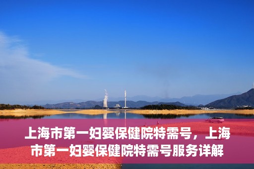 上海市第一妇婴保健院特需号，上海市第一妇婴保健院特需号服务详解