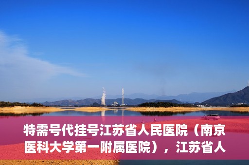 特需号代挂号江苏省人民医院（南京医科大学第一附属医院），江苏省人民医院特需号代挂号服务详解，南京医科大学第一附属医院权威解读