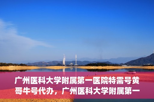 广州医科大学附属第一医院特需号黄哥牛号代办，广州医科大学附属第一医院特需号黄哥牛号代办服务详解
