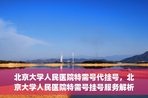 北京大学人民医院特需号代挂号，北京大学人民医院特需号挂号服务解析