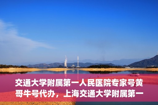 交通大学附属第一人民医院专家号黄哥牛号代办，上海交通大学附属第一人民医院专家号代办服务揭秘，黄哥牛号助您轻松预约专家资源