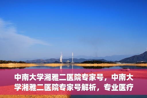 中南大学湘雅二医院专家号，中南大学湘雅二医院专家号解析，专业医疗团队为您的健康护航
