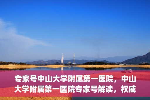 专家号中山大学附属第一医院，中山大学附属第一医院专家号解读，权威医疗观点与深度洞察