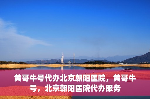 黄哥牛号代办北京朝阳医院，黄哥牛号，北京朝阳医院代办服务