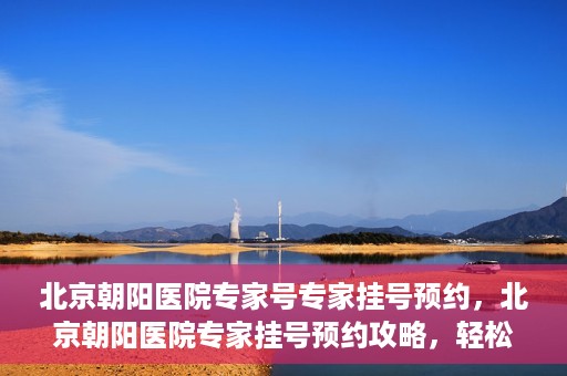 北京朝阳医院专家号专家挂号预约，北京朝阳医院专家挂号预约攻略，轻松预约专家号
