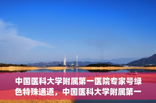 中国医科大学附属第一医院专家号绿色特殊通道，中国医科大学附属第一医院专家号绿色特殊通道，就医无忧，专业快捷服务体验