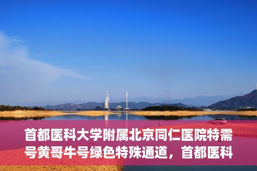 首都医科大学附属北京同仁医院特需号黄哥牛号绿色特殊通道，首都医科大学附属北京同仁医院特需号黄哥牛号，绿色特殊通道揭秘