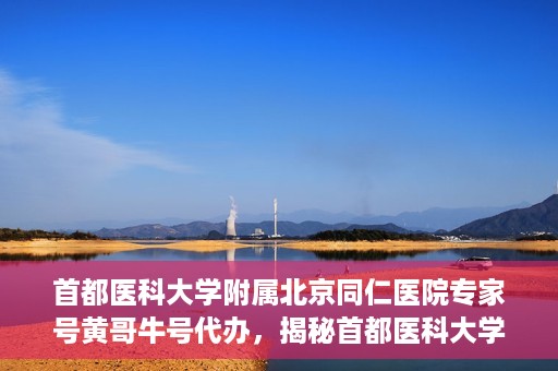 首都医科大学附属北京同仁医院专家号黄哥牛号代办，揭秘首都医科大学附属北京同仁医院专家号，黄哥牛号代办背后的故事