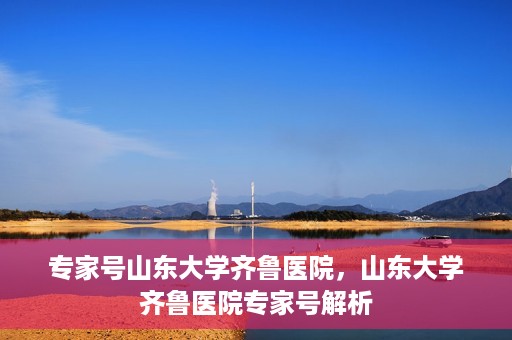 专家号山东大学齐鲁医院，山东大学齐鲁医院专家号解析