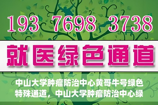 中山大学肿瘤防治中心黄哥牛号绿色特殊通道，中山大学肿瘤防治中心绿色特殊通道——黄哥牛号的守护力量