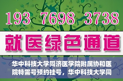 华中科技大学同济医学院附属协和医院特需号预约挂号，华中科技大学同济医学院附属协和医院特需号预约挂号服务详解