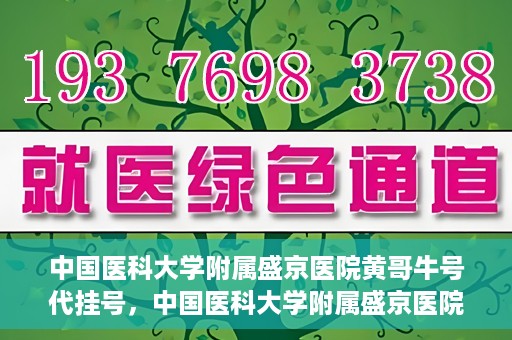 中国医科大学附属盛京医院黄哥牛号代挂号，中国医科大学附属盛京医院黄哥牛号代挂号背后的故事与真相揭秘