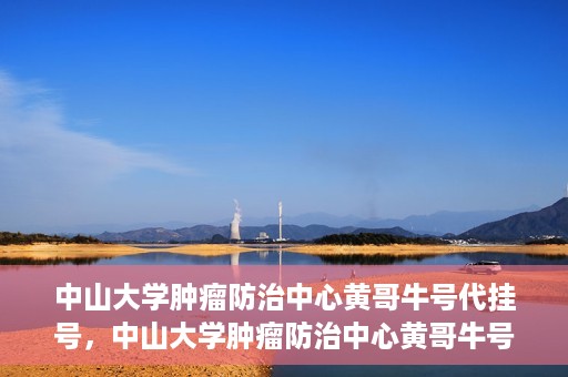 中山大学肿瘤防治中心黄哥牛号代挂号，中山大学肿瘤防治中心黄哥牛号助您轻松预约挂号！