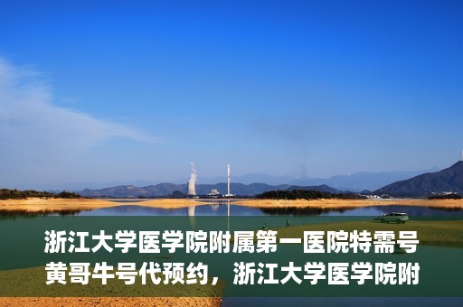 浙江大学医学院附属第一医院特需号黄哥牛号代预约，浙江大学医学院附属第一医院特需号预约专家黄哥牛号预约服务解析