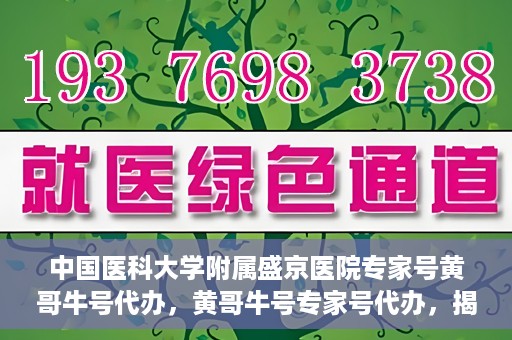 中国医科大学附属盛京医院专家号黄哥牛号代办，黄哥牛号专家号代办，揭秘中国医科大学附属盛京医院背后的故事
