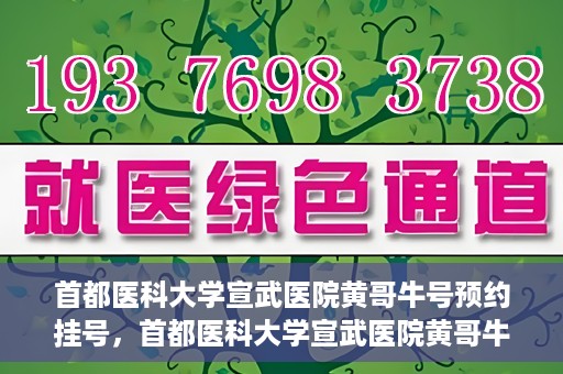 首都医科大学宣武医院黄哥牛号预约挂号，首都医科大学宣武医院黄哥牛号，预约挂号攻略