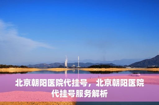 北京朝阳医院代挂号，北京朝阳医院代挂号服务解析