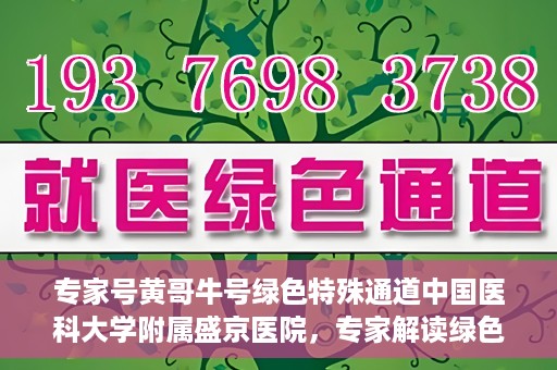 专家号黄哥牛号绿色特殊通道中国医科大学附属盛京医院，专家解读绿色特殊通道，盛京医院黄哥牛号背后的故事