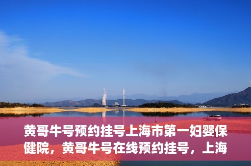 黄哥牛号预约挂号上海市第一妇婴保健院，黄哥牛号在线预约挂号，上海市第一妇婴保健院的便捷就医之旅