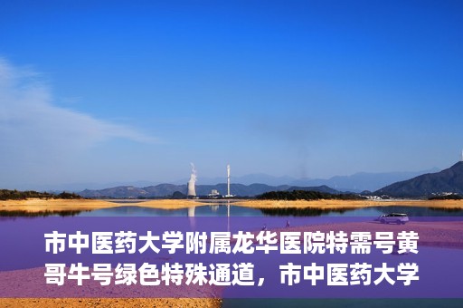 市中医药大学附属龙华医院特需号黄哥牛号绿色特殊通道，市中医药大学附属龙华医院黄哥牛号特需绿色就医通道揭秘