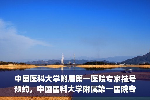 中国医科大学附属第一医院专家挂号预约，中国医科大学附属第一医院专家挂号预约攻略，一站式解决您的就医难题