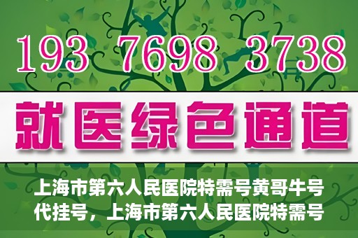 上海市第六人民医院特需号黄哥牛号代挂号，上海市第六人民医院特需号专家黄哥代挂号服务解析