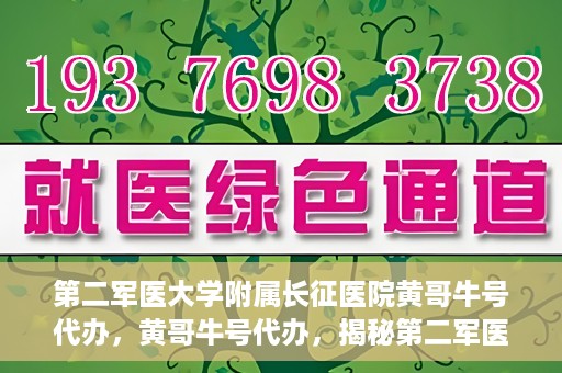 第二军医大学附属长征医院黄哥牛号代办，黄哥牛号代办，揭秘第二军医大学附属长征医院的医疗服务新篇章