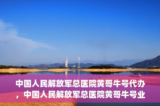 中国人民解放军总医院黄哥牛号代办，中国人民解放军总医院黄哥牛号业务代办揭秘