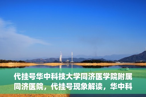 代挂号华中科技大学同济医学院附属同济医院，代挂号现象解读，华中科技大学同济医学院附属同济医院的医疗管理与挑战