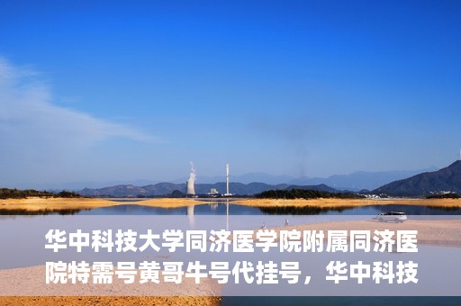 华中科技大学同济医学院附属同济医院特需号黄哥牛号代挂号，华中科技大学同济医院特需号专家黄哥牛号代挂号服务解析