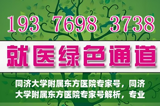 同济大学附属东方医院专家号，同济大学附属东方医院专家号解析，专业医疗服务的深度解读