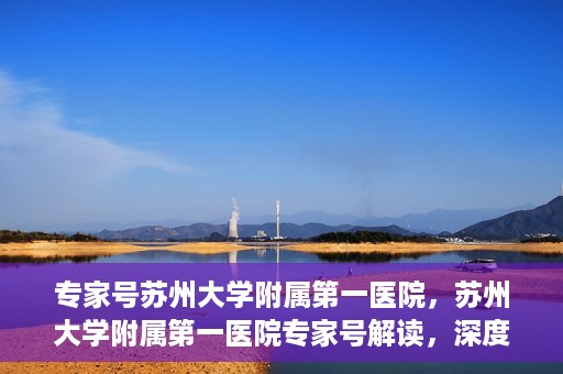 专家号苏州大学附属第一医院，苏州大学附属第一医院专家号解读，深度剖析医疗专业与服务质量
