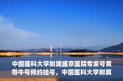 中国医科大学附属盛京医院专家号黄哥牛号预约挂号，中国医科大学附属盛京医院专家黄哥牛号预约挂号攻略