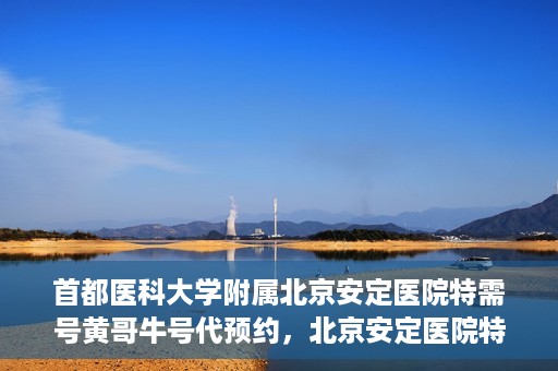 首都医科大学附属北京安定医院特需号黄哥牛号代预约，北京安定医院特需号黄哥牛号预约服务详解