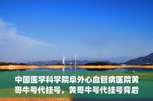 中国医学科学院阜外心血管病医院黄哥牛号代挂号，黄哥牛号代挂号背后的故事，阜外心血管病医院的探索与挑战