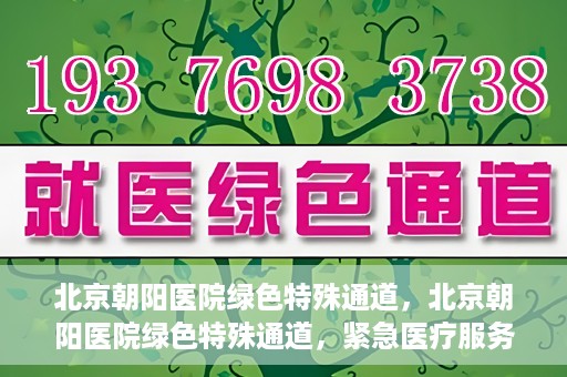 北京朝阳医院绿色特殊通道，北京朝阳医院绿色特殊通道，紧急医疗服务的速度与温情