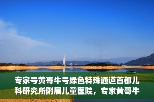 专家号黄哥牛号绿色特殊通道首都儿科研究所附属儿童医院，专家黄哥牛号开启绿色特殊通道，首都儿科研究所附属儿童医院专业服务升级