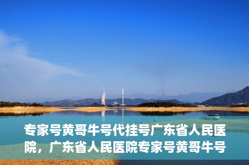 专家号黄哥牛号代挂号广东省人民医院，广东省人民医院专家号黄哥牛号代挂号服务解析