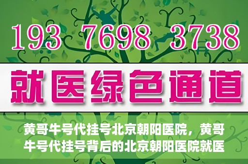黄哥牛号代挂号北京朝阳医院，黄哥牛号代挂号背后的北京朝阳医院就医现象观察