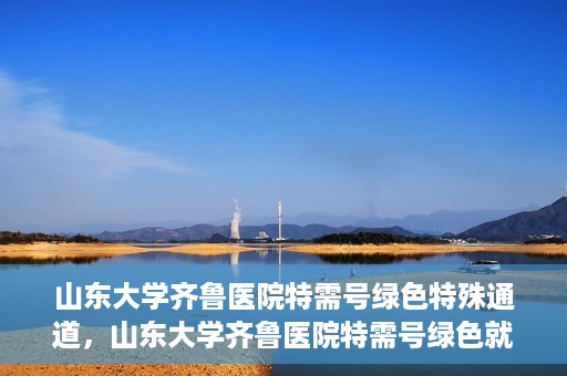 山东大学齐鲁医院特需号绿色特殊通道，山东大学齐鲁医院特需号绿色就医通道揭秘