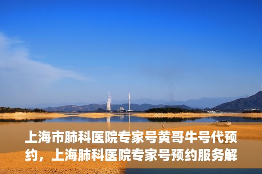 上海市肺科医院专家号黄哥牛号代预约，上海肺科医院专家号预约服务解析，黄哥牛号代预约详解