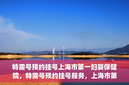 特需号预约挂号上海市第一妇婴保健院，特需号预约挂号服务，上海市第一妇婴保健院的便捷就医指南