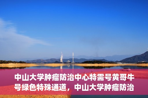 中山大学肿瘤防治中心特需号黄哥牛号绿色特殊通道，中山大学肿瘤防治中心特需号黄哥牛号，绿色特殊通道助力健康之路