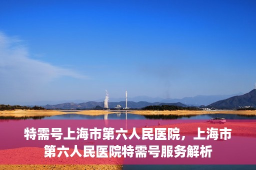 特需号上海市第六人民医院，上海市第六人民医院特需号服务解析