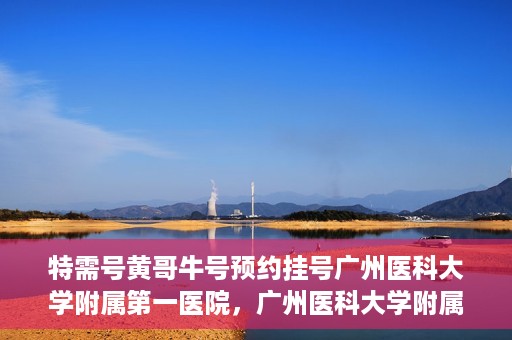 特需号黄哥牛号预约挂号广州医科大学附属第一医院，广州医科大学附属第一医院特需号黄哥牛号预约挂号攻略