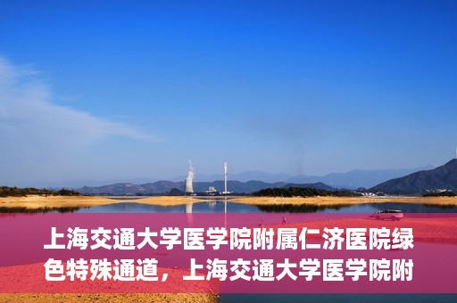 上海交通大学医学院附属仁济医院绿色特殊通道，上海交通大学医学院附属仁济医院绿色特殊通道，高效医疗服务的创新实践