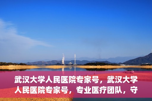 武汉大学人民医院专家号，武汉大学人民医院专家号，专业医疗团队，守护您的健康之路